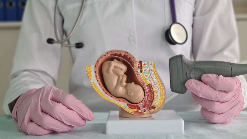 Dra. Thaline Neves Coutinho