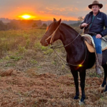 Altevir Seidel analisa como a tecnologia pode transformar o transporte urbano brasileiro em um sistema mais ágil e sustentável.