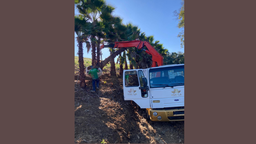 Com Altevir Seidel, entenda como a inovação tecnológica é o caminho para uma mobilidade urbana mais eficiente no Brasil.