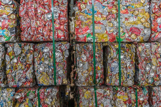 ReciclaBR